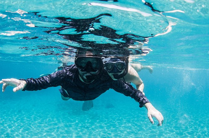 Snorkel Shore Trip with Scubaçao "East Point" - Guide Quality and Group Size