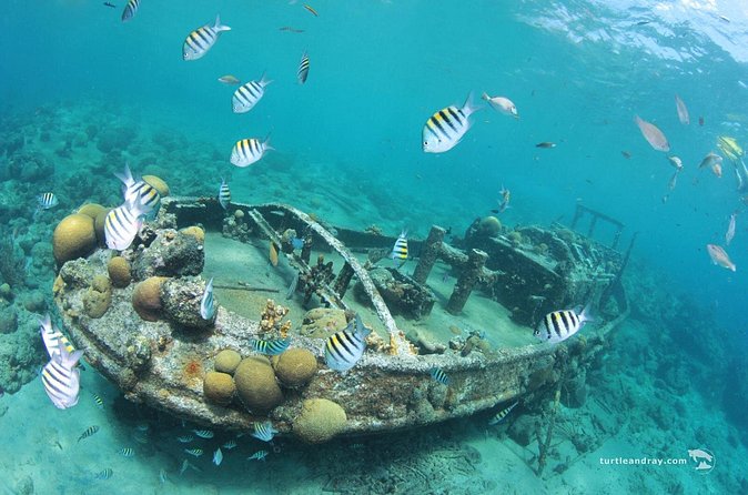 Snorkel Shore Trip with Scubaçao "East Point" - What the $110 Price Buys You