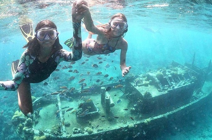 Snorkel Shore Trip with Scubaçao "East Point" - Timing, Comfort, and Practical Tips