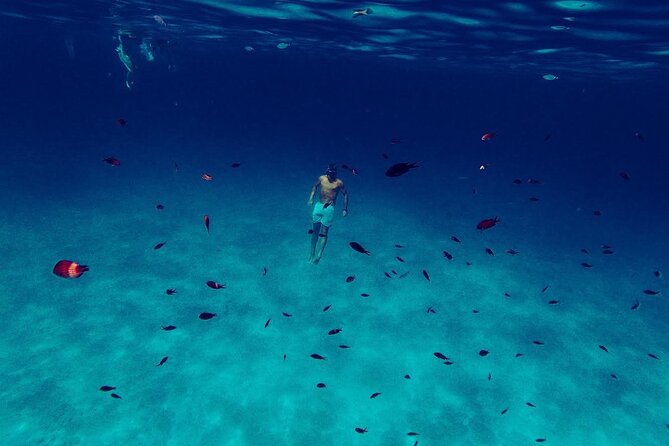 Snorkeling and Diving in the Gulf of Tavolara with Fishing - Lunch with the catch of the day