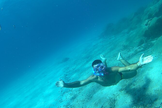 Snorkeling and Diving in the Gulf of Tavolara with Fishing - What the price includes at $154.88