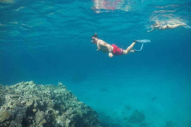 Snorkeling and Diving to Ras Mohamed And White Island by VIP Boat - Ras Mohamed National Park: the main underwater stop
