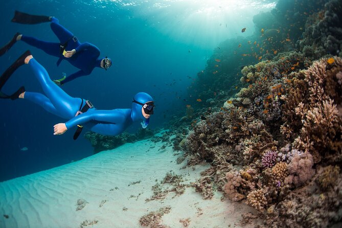 Snorkeling and Freediving Trip around Nusa Penida - Starting at Freedive Nusa in Ped
