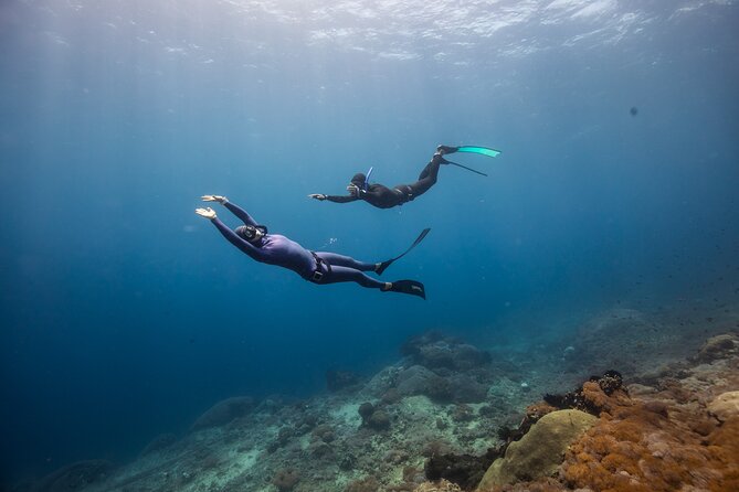 Snorkeling and Freediving Trip around Nusa Penida - Who should book this experience?