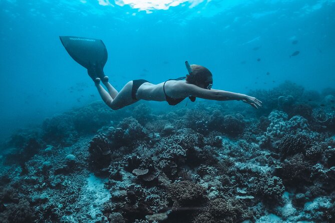 Snorkeling and Freediving Trip around Nusa Penida - Toyapakeh Wall and colorful reef life