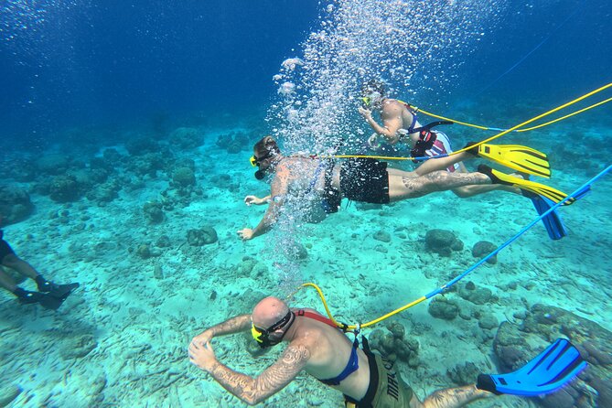 SNUBA Adventure in Curacao - Guided Shallow Dive - What SNUBA in Curaçao actually feels like