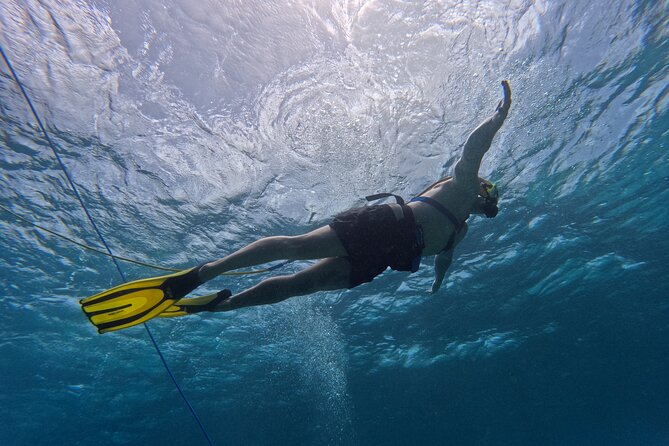 SNUBA Adventure in Curacao - Guided Shallow Dive - Exploring Curaçao’s coral and marine life