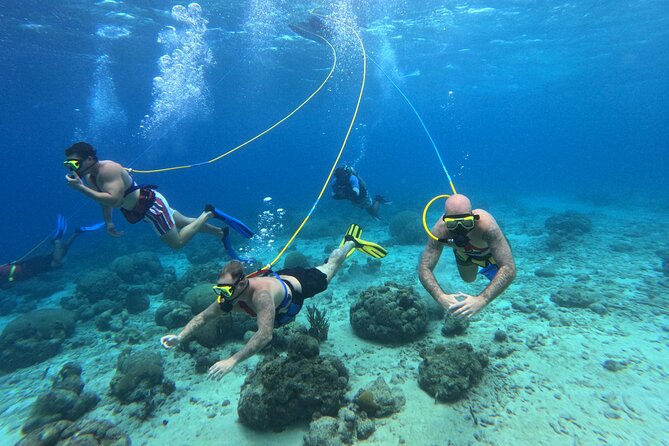 SNUBA Adventure in Curacao - Guided Shallow Dive - Why the small group size matters