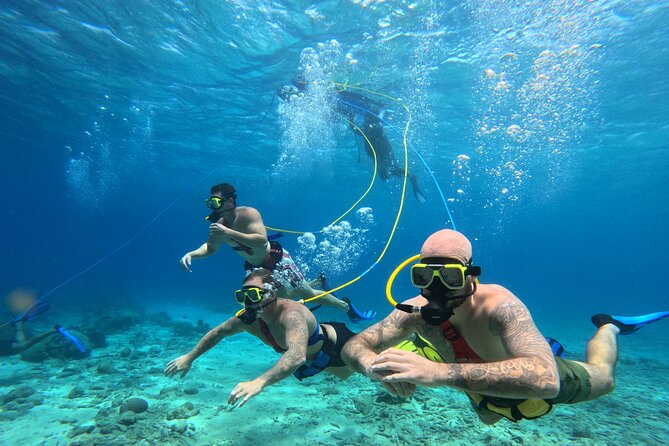 SNUBA Adventure in Curacao - Guided Shallow Dive - Pickup, timing, and cruise-day planning