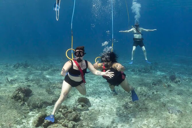 Snuba Cabo San Lucas Dive Without a Tank - La Ventana and the ride along Cabo’s southern tip