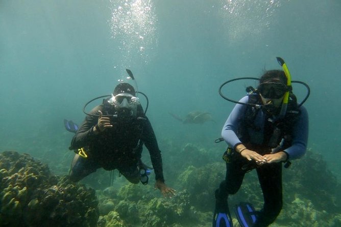 South Maui Discover Scuba Dive - Why this South Maui session works for beginners