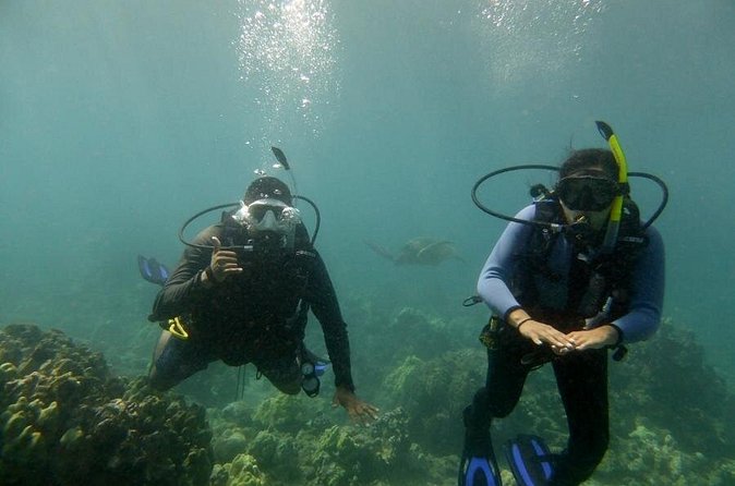 South Maui Discover Scuba Dive - A close look at the instructor experience