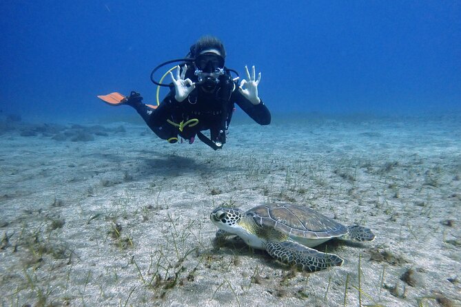 South of Tenerife : DSD Scuba Diving for beginners, Adeje - Key points at a glance