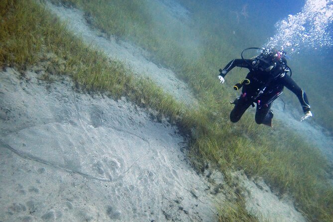 South of Tenerife : DSD Scuba Diving for beginners, Adeje - Your first meeting at Hotel GF Isabel
