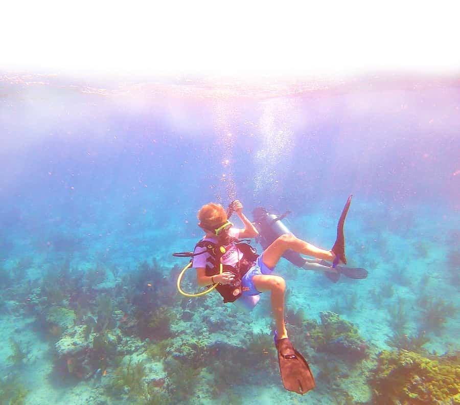 Southpoint Divers: Afternoon Reef Dive Trip - What the two-tank schedule feels like