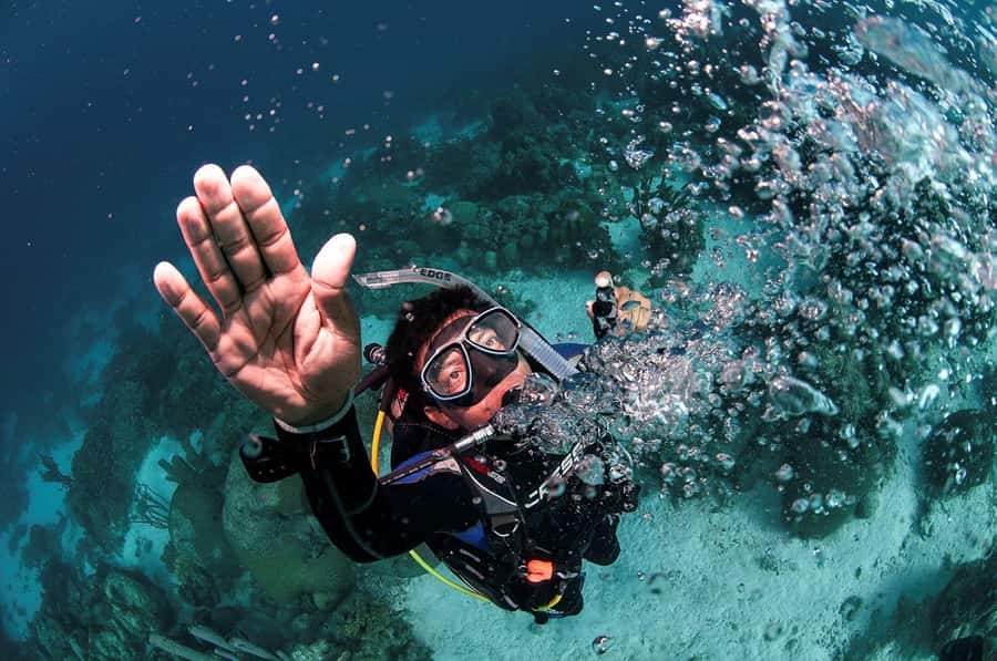 Southpoint Divers: Afternoon Reef Dive Trip - Mark 32 Fingers and Nine Foot Stake