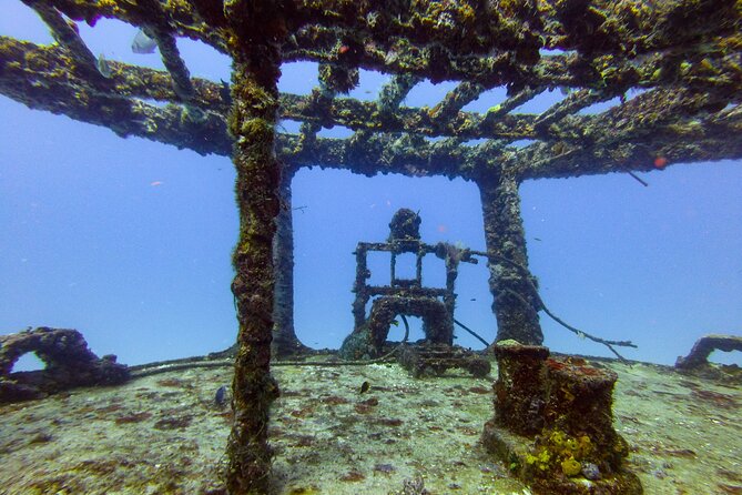 SPECIAL!! 2 Tank Wreck & Drift Reef dives - Why the Small Group Matters