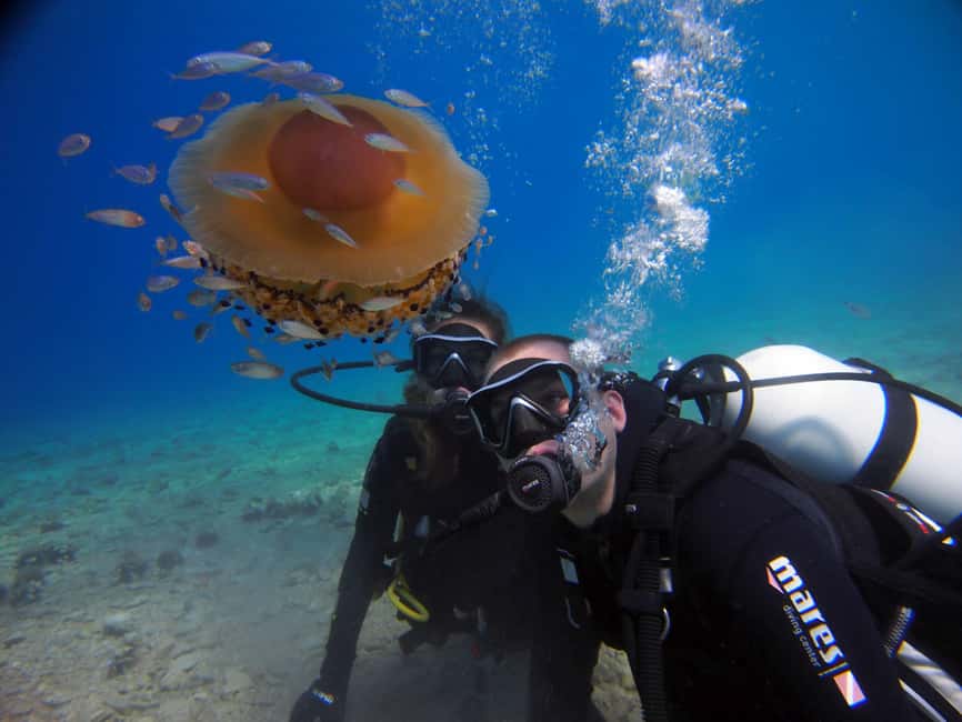 Split-Makarska-Brela Try SCUBA Dive - Your 150 minutes at Bikini Dive