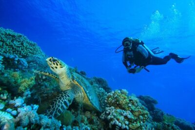 SSI | Padi Open Water Course in Phuket