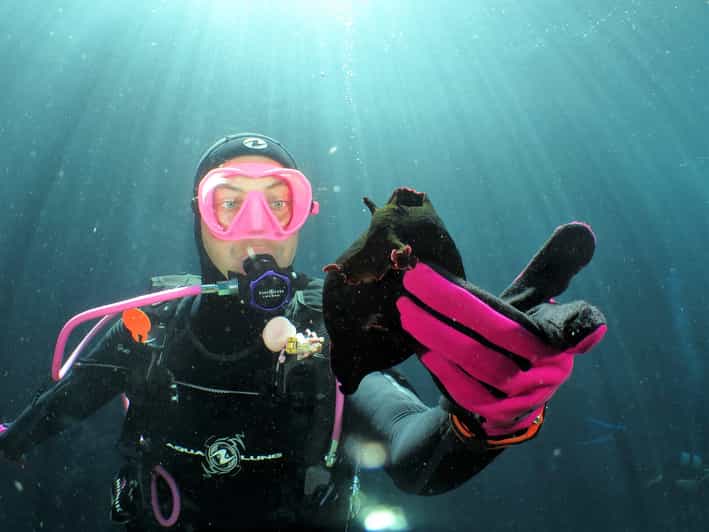 SSI Try Scuba Diving in the sea - A gentle introduction at Octopus Garden