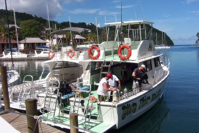 St Lucia Beginner Scuba Diving Tour - From your hotel to Marigot Bay