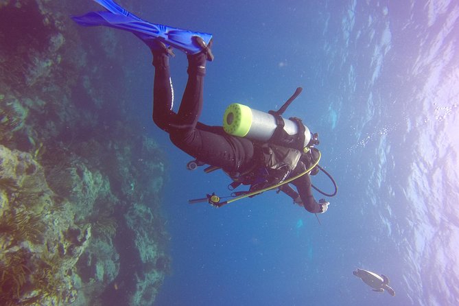 St Maarten Discover Scuba - Learning the basics before entering the water
