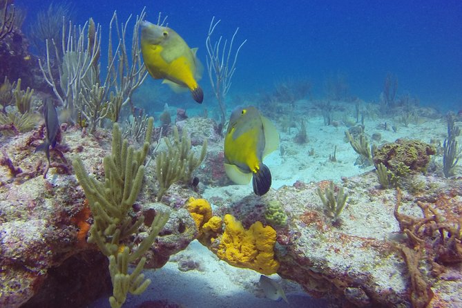 St Maarten Discover Scuba - How much time do you actually spend underwater?