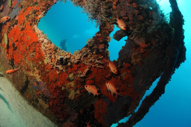 St Maarten Scuba Diving for Certified Divers - What the two-tank format means