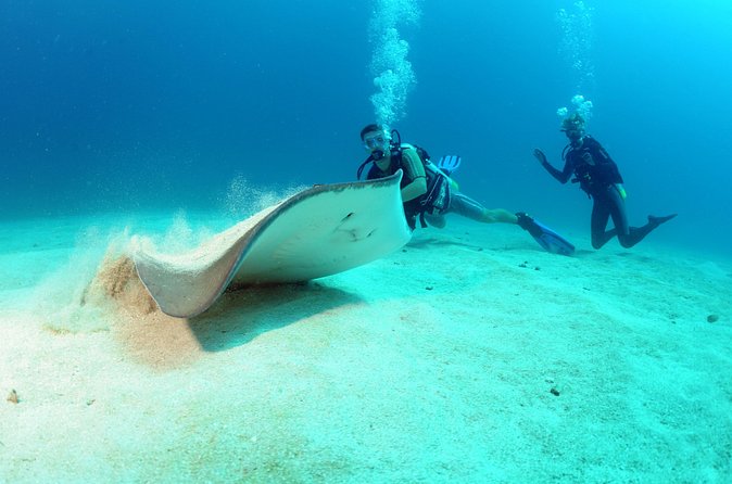 St Maarten Scuba Diving for Certified Divers - The Proselyte wreck and other underwater remains