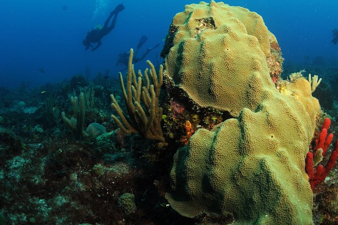 St Maarten Scuba Diving for Certified Divers - Equipment, safety, and guide support