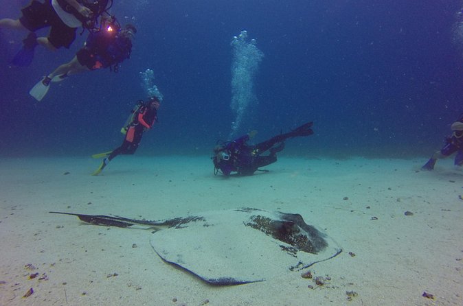 St Maarten Scuba Diving for Certified Divers - Is $120 a good value?