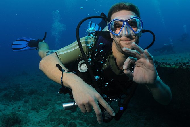 St Maarten Scuba Diving for Certified Divers - A short cruise to the day’s best site