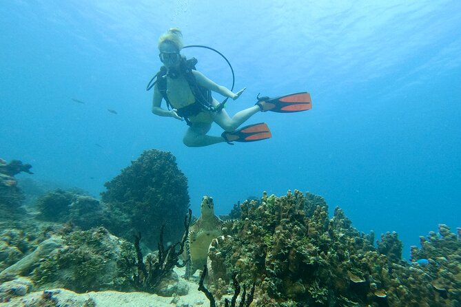 StandUp PaddleBoard Lesson and Experience Scuba Diving Package! - Starting at Guam Ocean Adventures in Piti