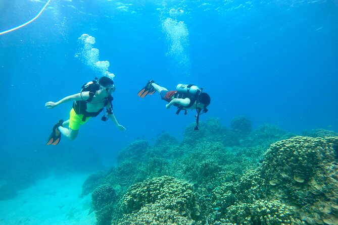 StandUp PaddleBoard Lesson and Experience Scuba Diving Package! - Learning Stand-Up Paddleboarding With a Guide
