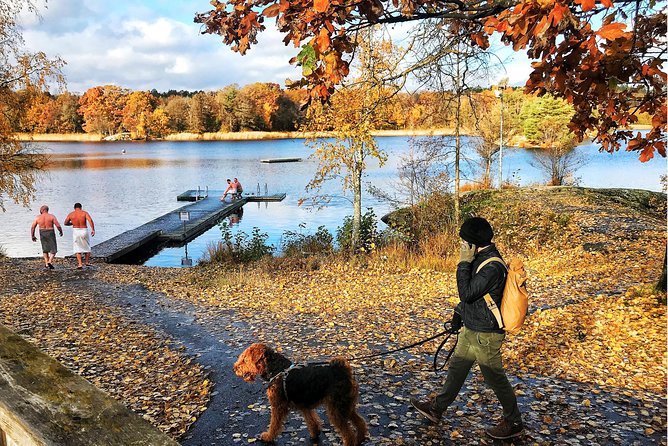 Stockholm Fire and Ice Tour! Dive into Swedish lifestyle! - Cycling Back Into Stockholm