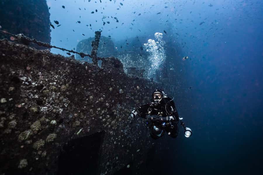 Sunshine Coast: Scuba Dive the Ex-HMAS Brisbane Ship Wreck - Marine life around the funnels and bow