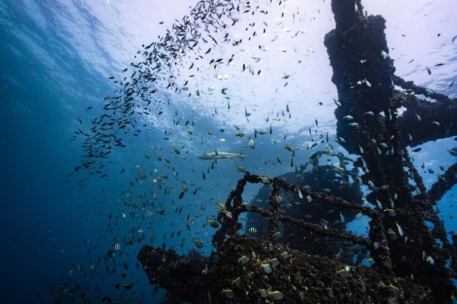 Sunshine Coast: Scuba Dive the Ex-HMAS Brisbane Ship Wreck - What the return trip feels like