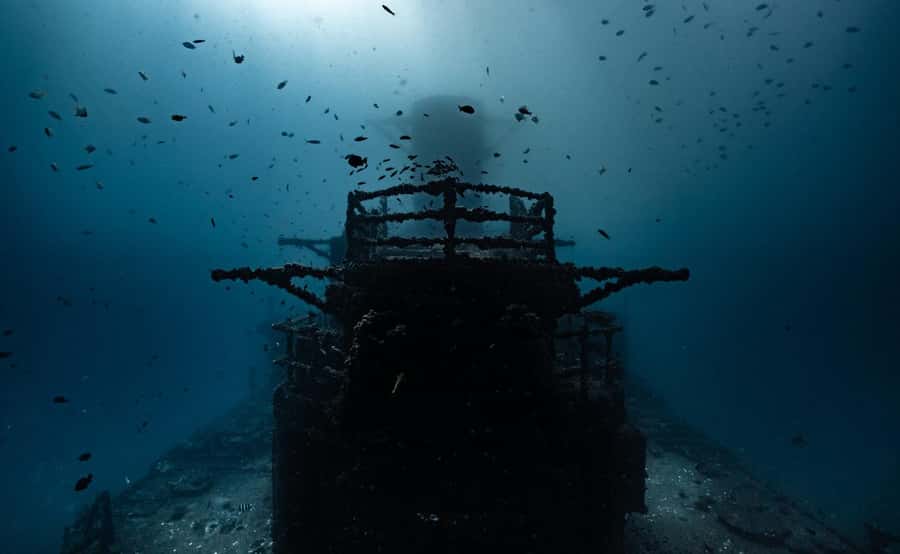 Sunshine Coast: Scuba Dive the Ex-HMAS Brisbane Ship Wreck - Who should book this wreck trip?