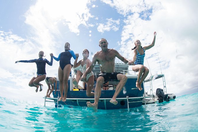 Swim with Whale Sharks in the Ningaloo Reef: 3 Island Shark Dive - Price, value, and the real trade-off