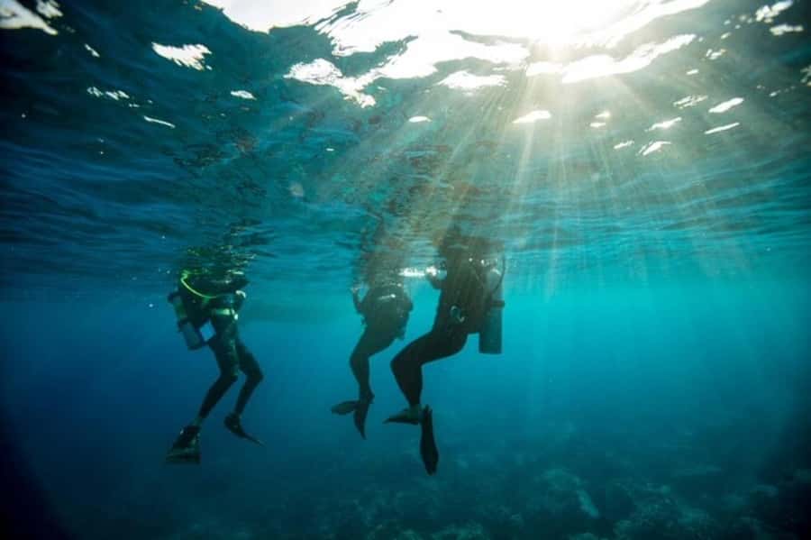 Sydney: Discover Scuba Dive at Australia's most Iconic Beach - Key points to know before booking