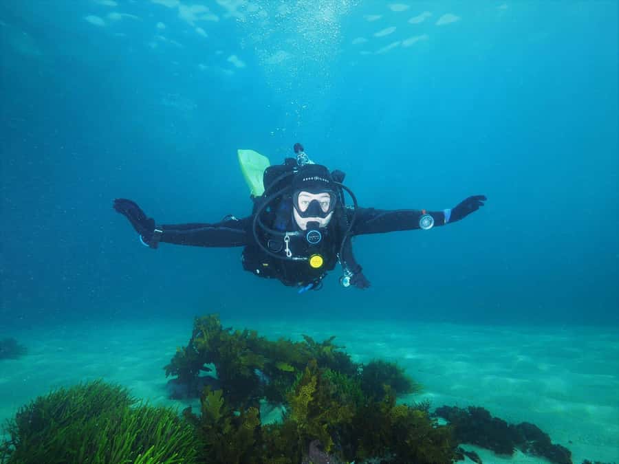 Sydney: Discover Scuba Dive at Australia's most Iconic Beach - What your Bondi morning looks like