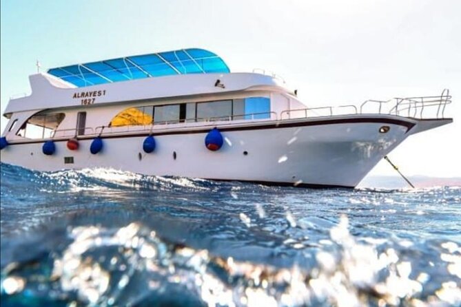 Take advantage of a half-day boat dive experience in Red sea of Aqaba. - Why a boat is useful in Aqaba