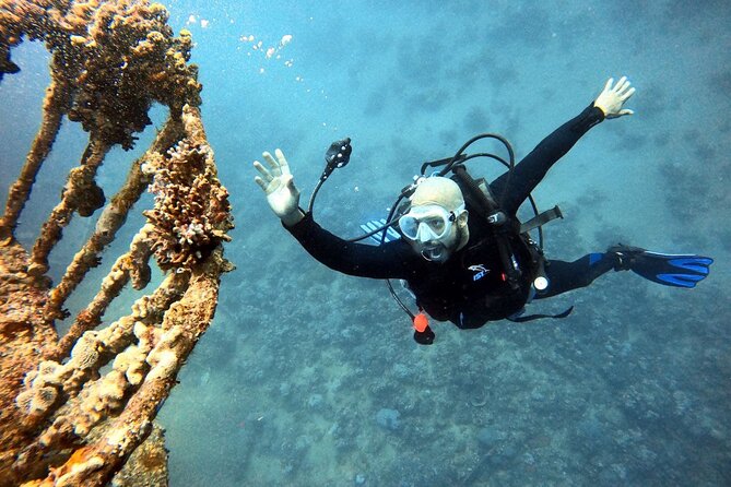 Take advantage of a half-day boat dive experience in Red sea of Aqaba. - One tank below the Red Sea