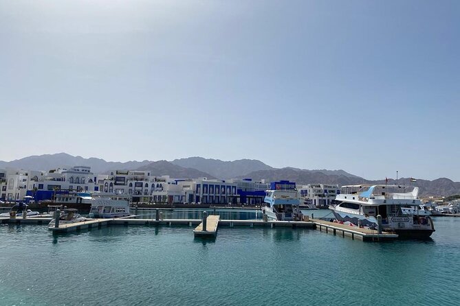 Take advantage of a half-day boat dive experience in Red sea of Aqaba. - Lunch, snorkeling, and time to relax