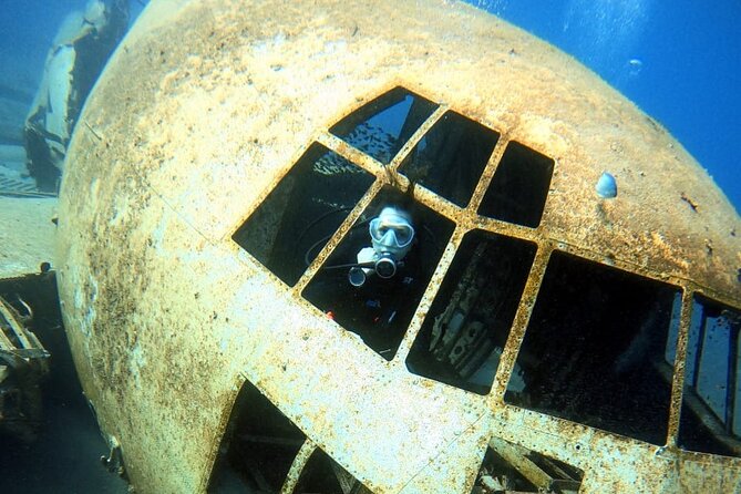 Take advantage of a half-day boat dive experience in Red sea of Aqaba. - The team and the strongest part of the experience