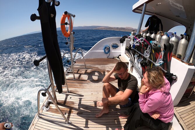 Take advantage of a half-day boat dive experience in Red sea of Aqaba. - Who should book this Aqaba boat trip?