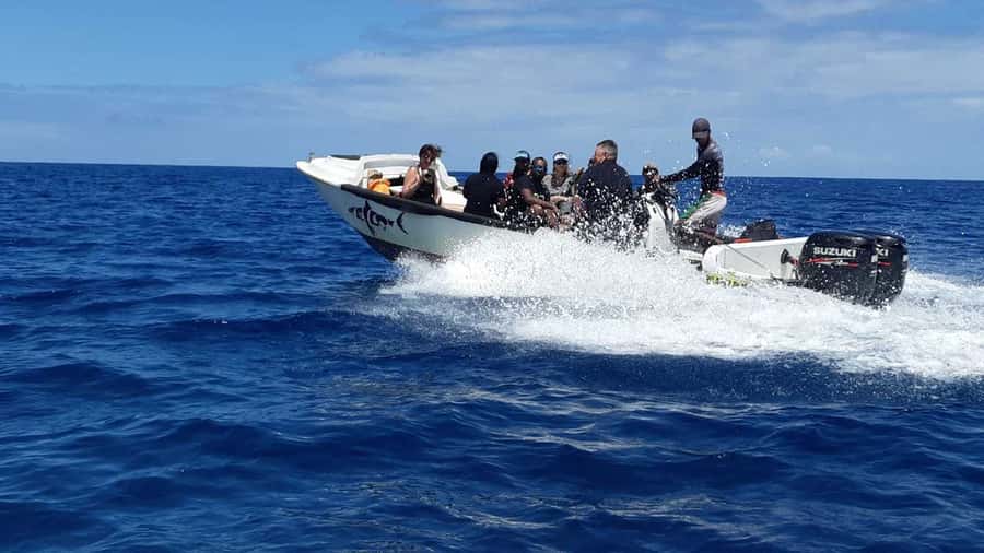 Tamarin Bay: Beginners Scuba Diving Experience - Starting at the Tamarin scuba center
