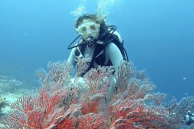 Taormina Scuba Diving Experience - The value of $163.39 per person