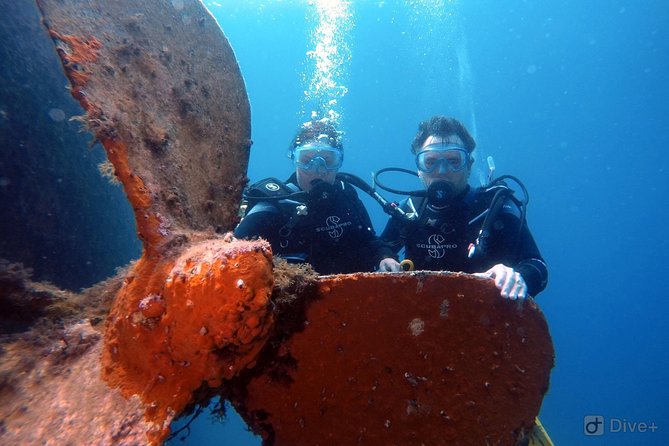 Taormina Scuba Diving Experience - Who will get the most from this session