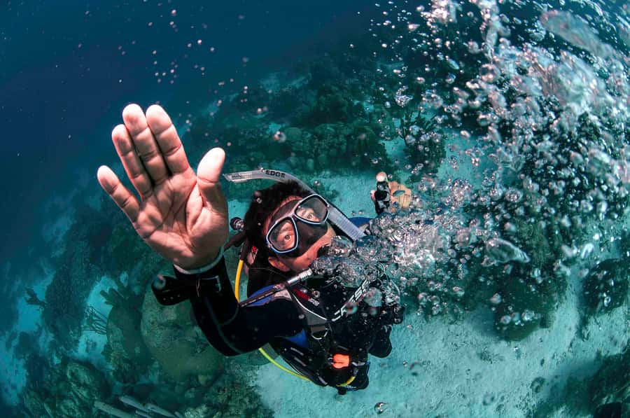 Tayrona National Park: Scuba Diving Tour for Beginners - What the $138 price includes